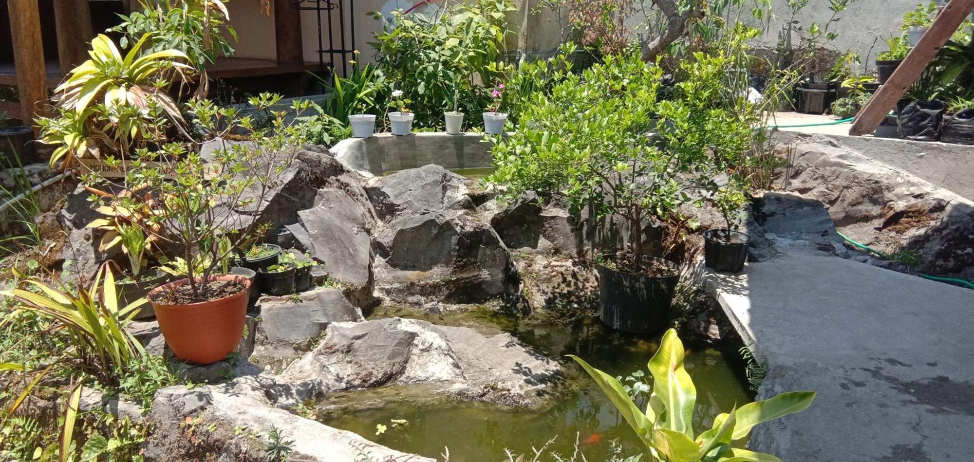 Radiya Guesthouse Сембалун Лауанг Стая снимка